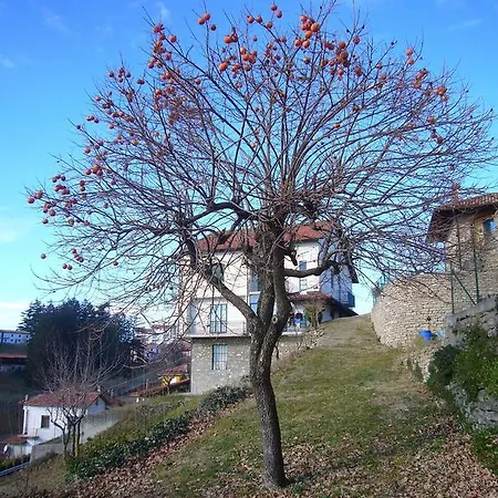 Hotel Bellavista